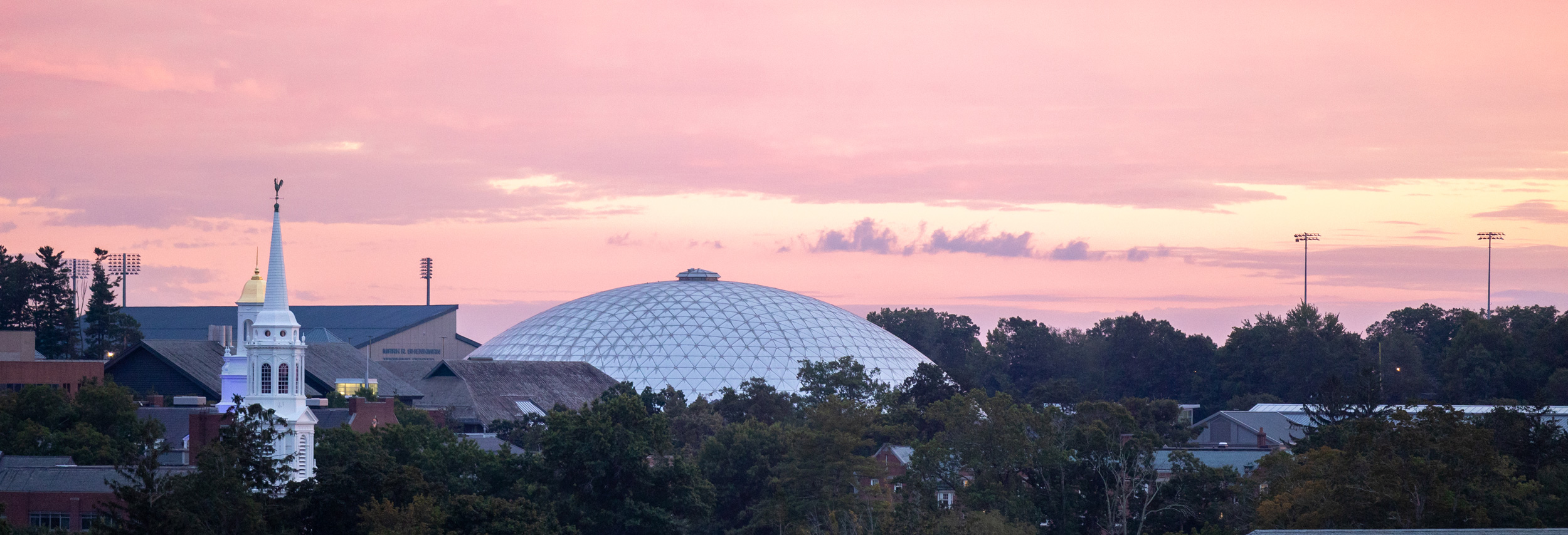 Pink skyline with a church, dome, and trees in the foreground.