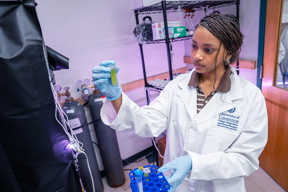 UConn researcher in a lab coat examining a test tube during a laboratory experiment.