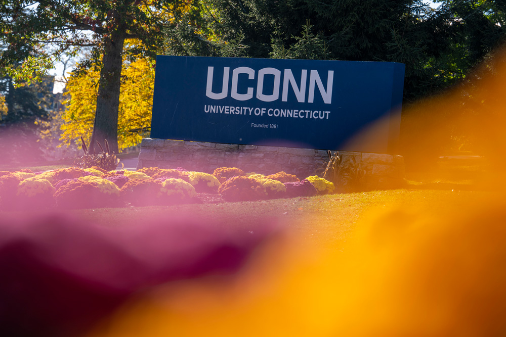 UConn entrance sign framed by colorful flowers and fall foliage on a sunny day.